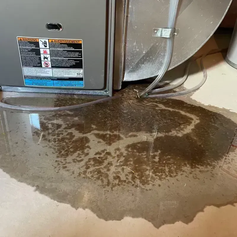 Appliance Leak Cleanup in Williamsport, MD